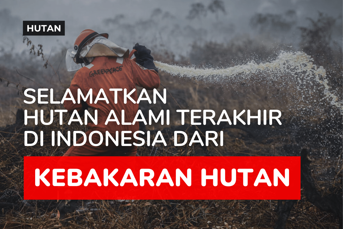 Kebakaran Hutan