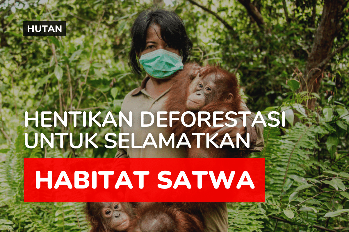 Habitat Satwa