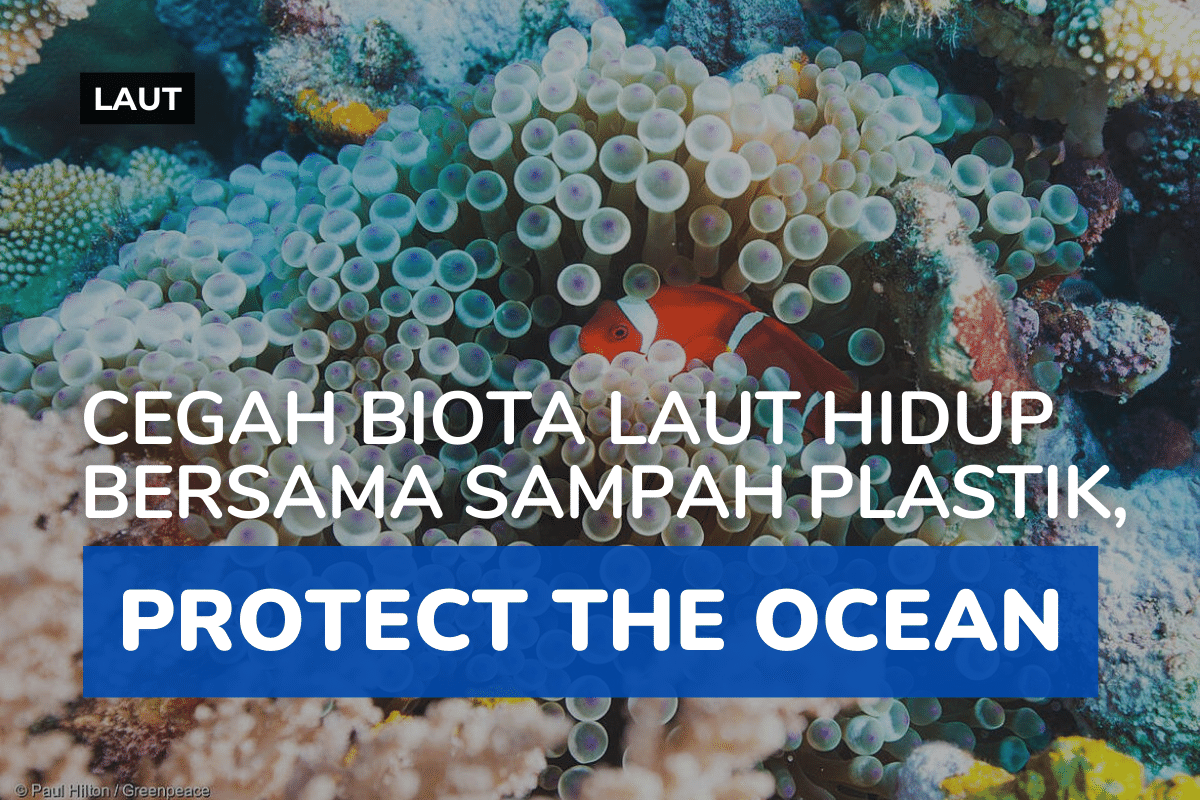 Protect the Ocean