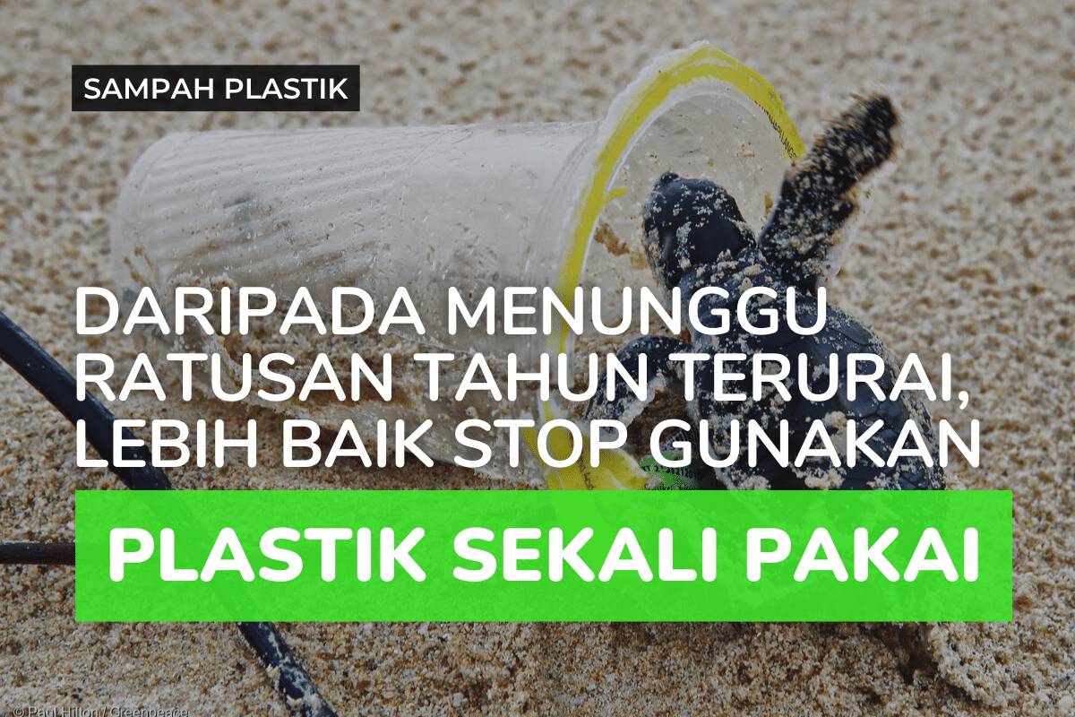Plastik Sekali Pakai