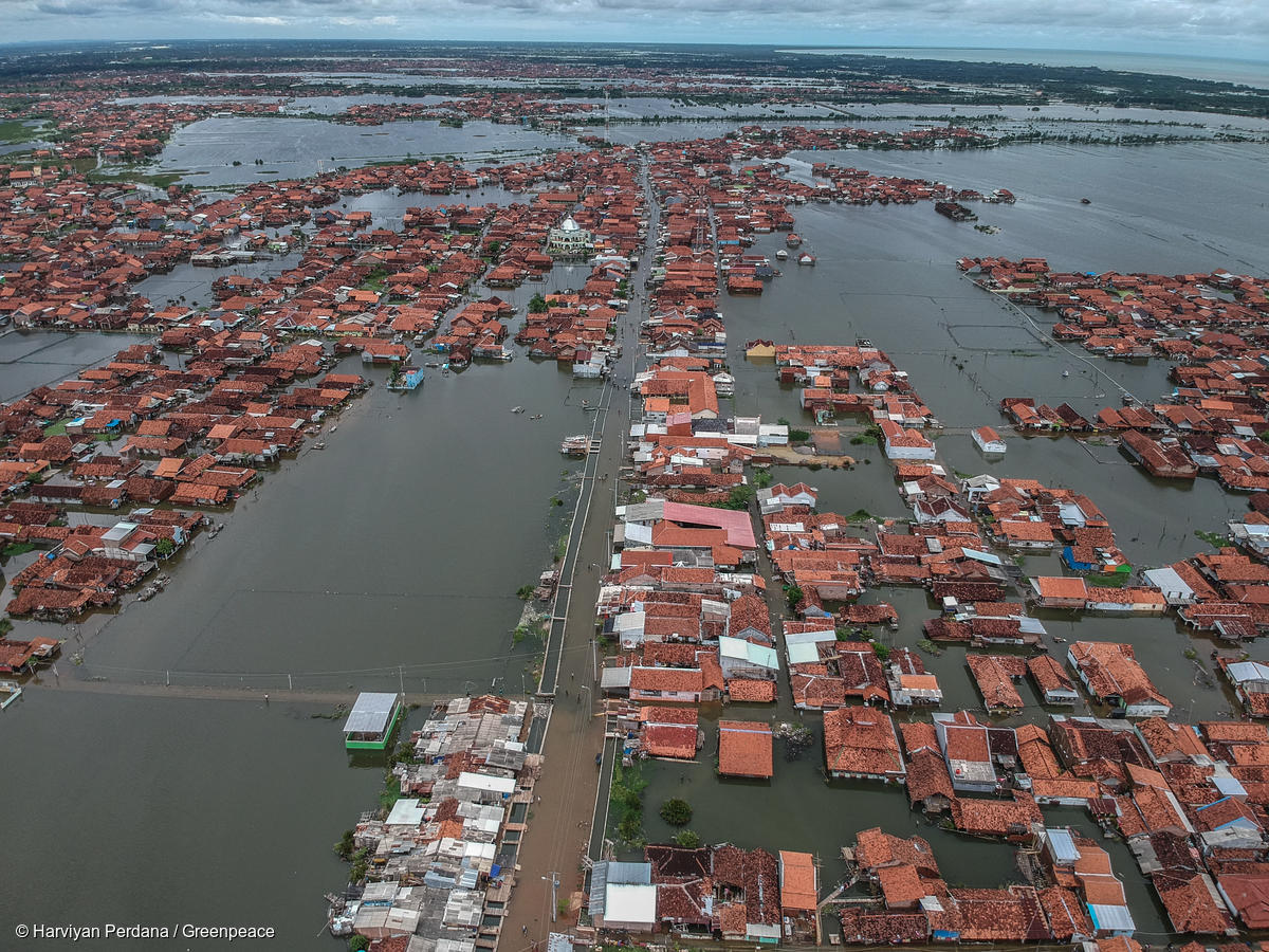 Gambar udara banjir di Pekalongan, Jawa Tengah