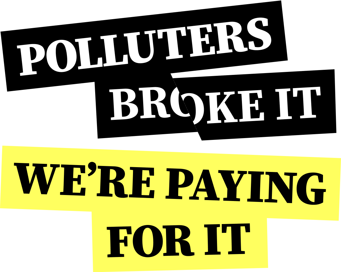 Polluters Pay