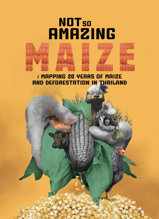 report-mapping-20-years-of-maize-and-deforestation-in-thailand
